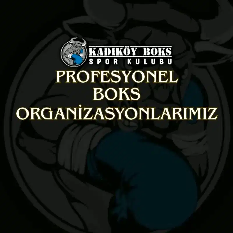 Profesyonel Boks Organizasyonlarımız